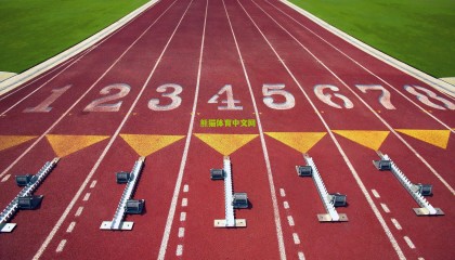 维卡里奥盛赞巴黎圣日耳曼上赛季辉煌成就 称家乡出战是美梦成真