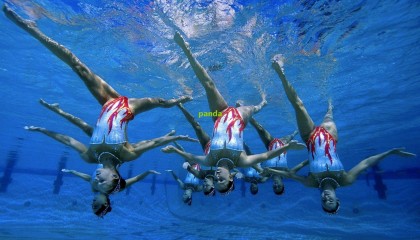 队报确认登贝莱入选巴黎欧冠关键战名单 中场双星鲁伊斯与内维斯继续伤缺