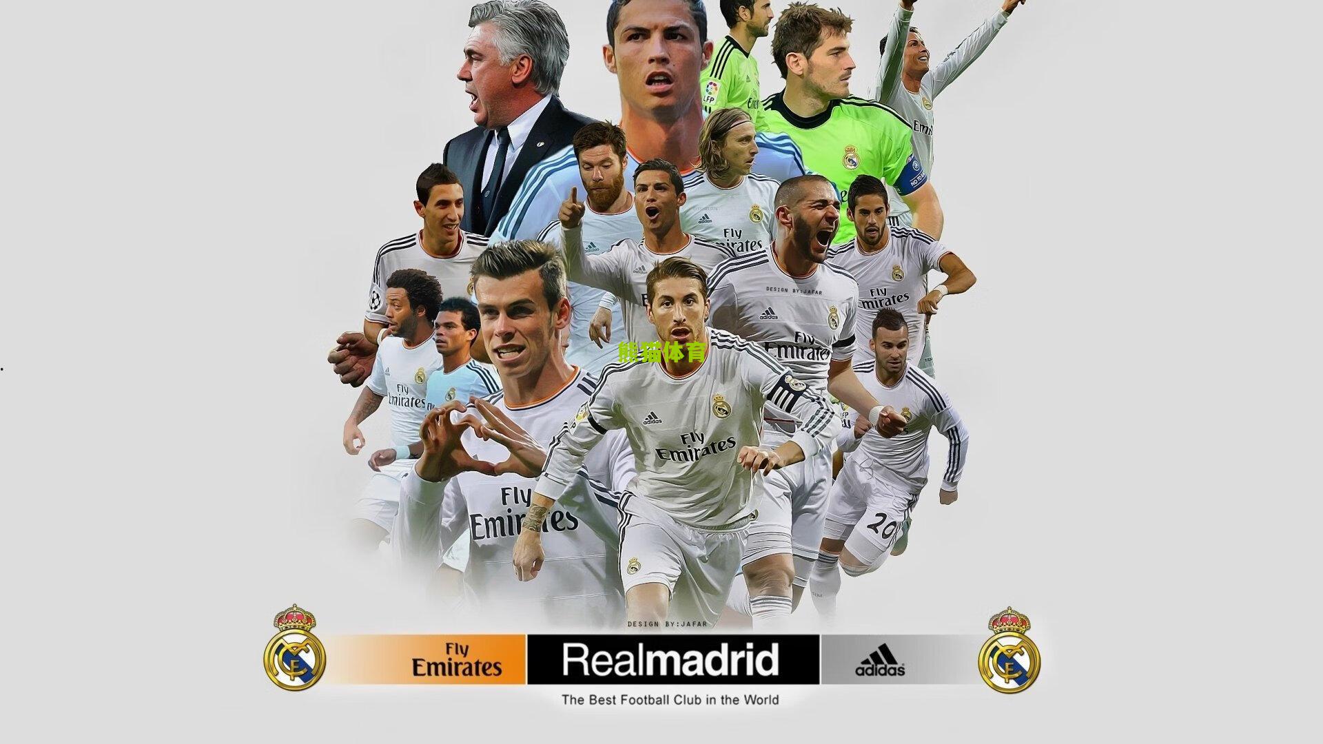 全明星选人结果揭晓，老将霍福德压轴入选引发热议，团队策略与情怀博弈成焦点