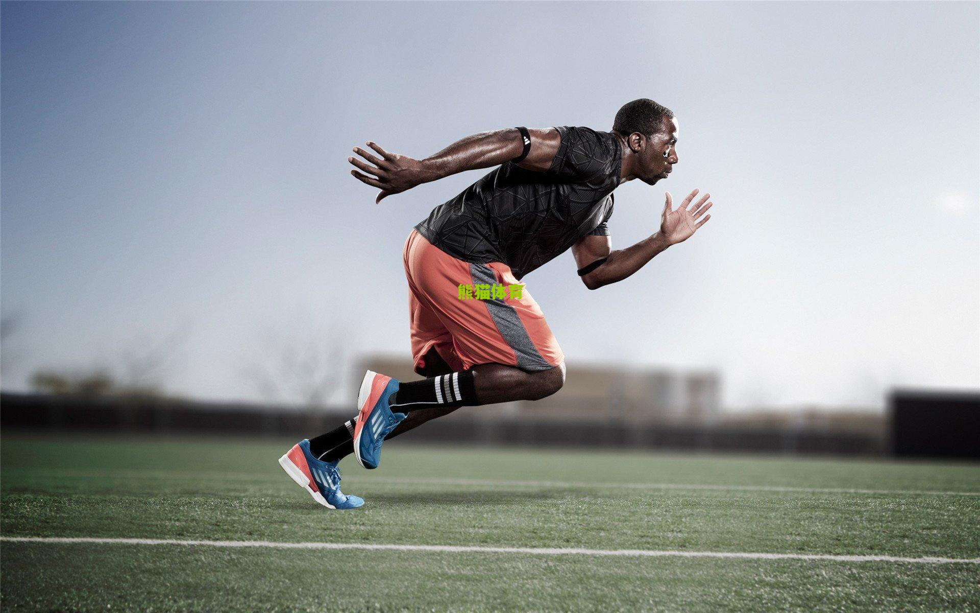 斯内德回首蓝黑岁月坦言，贝尼特斯接手国米时机艰难，澄清最差教练误解